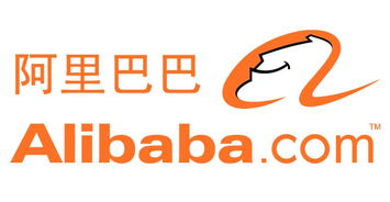 東莞電商培訓機構選擇指南 如何挑選適合你的優質課程